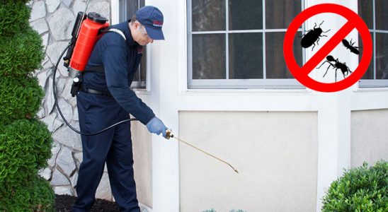 Sultandağı Sivrisinek İlaçlama böcek ilaçlama ve haşere kontrolü — ilaclama-tr.com